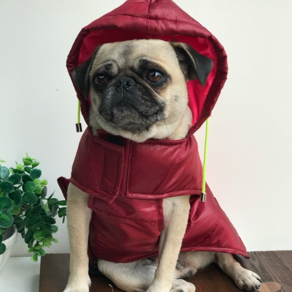 Ware of the Dog Other - Ware of the Dog🐶 winter jacket with hoodie NWT